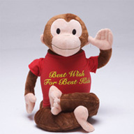 玩具 靠垫 绒毯三合一红猴子公仔