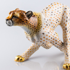 Guepard – Cheetah
